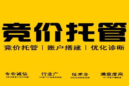 百度推广实战：案例分析与优化技巧